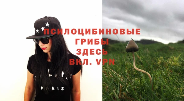 не бодяженный Алзамай