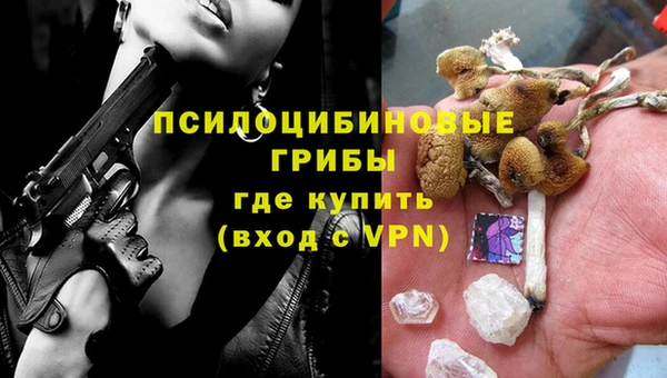 бутират Алексин