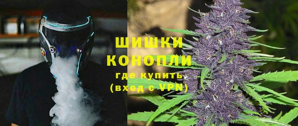 ГАЛЛЮЦИНОГЕННЫЕ ГРИБЫ Абаза