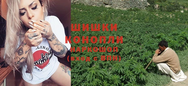 ГАЛЛЮЦИНОГЕННЫЕ ГРИБЫ Абаза