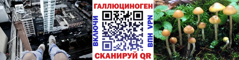 Галлюциногенные грибы Magic Shrooms Карачев